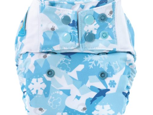 Pocket Diaper (ARCTOS)