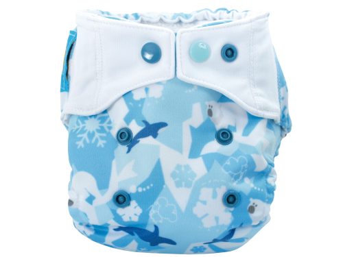 Shell Newborn (ARCTOS)